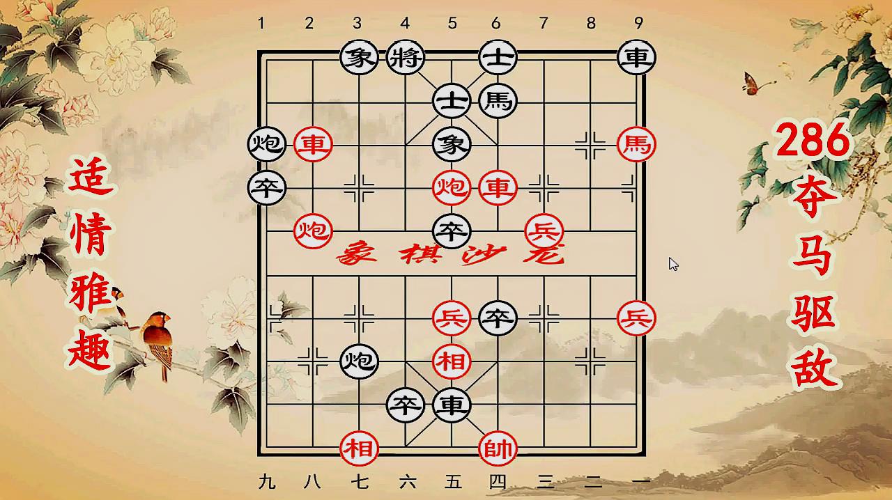 馬后炮視角下的五碼復(fù)試結(jié)構(gòu)深度解析